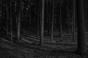 Photo par Christian Keybets sur Unsplash.